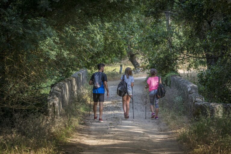Cuatro jóvenes senderistas recorren un camino rural arbolado en la Sierra de Francia, portando mochilas y bastones de trekking.