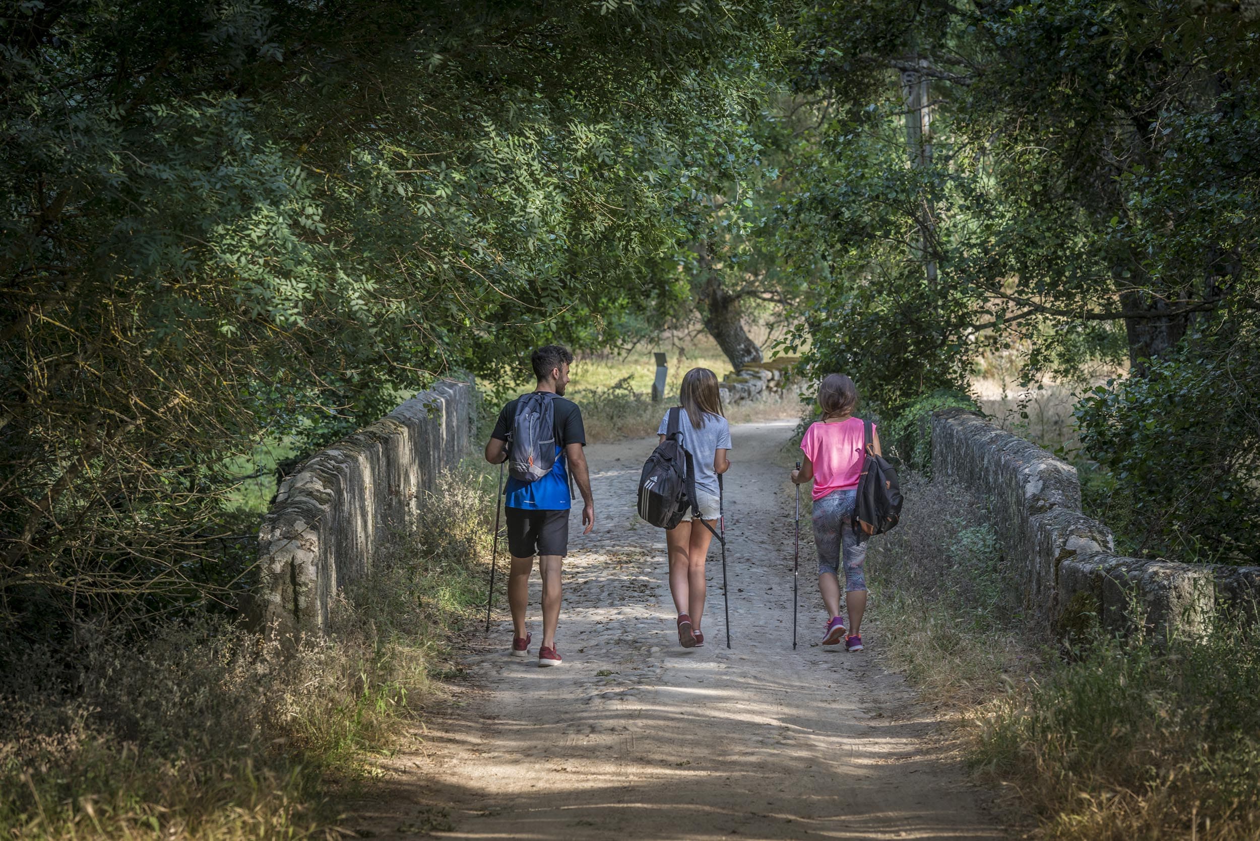 Cuatro jóvenes senderistas recorren un camino rural arbolado en la Sierra de Francia, portando mochilas y bastones de trekking.
