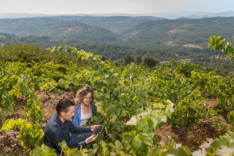 Pareja en viñedo de la Sierra de Francia con valle boscoso al fondo, mostrando uvas maduras y paisaje rural.