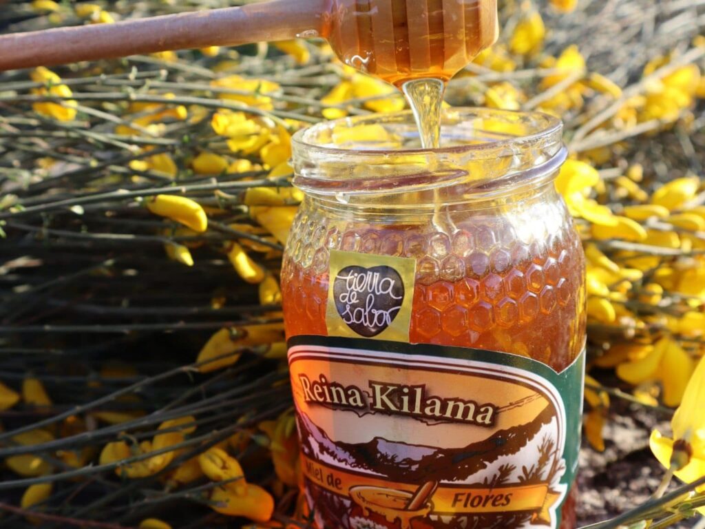 Miel de flores Reina Kilama siendo vertida en frasco con flores amarillas de fondo en la Sierra de Francia