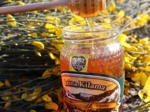Miel de flores Reina Kilama siendo vertida en frasco con flores amarillas de fondo en la Sierra de Francia