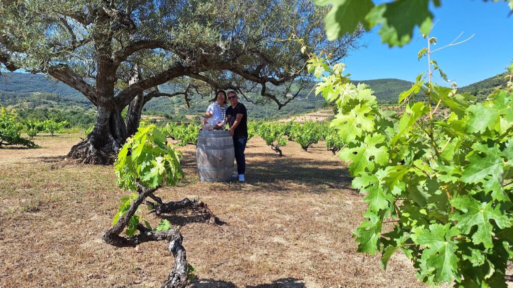 Dos personas posan junto a un barril de vino bajo un antiguo olivo en viñedo de la Sierra de Francia con montañas al fondo.