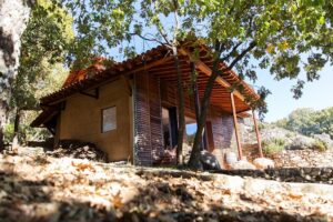 Bodega tradicional con estructura de madera y adobe en la Sierra de Francia, rodeada de vegetación y piedra natural.