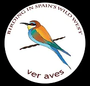 Logotipo de "Birding in Spain's Wildlife" con un pájaro colorido de alas azules y cuerpo naranja