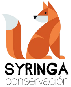 Logo de Syringa Conservación con zorro estilizado en naranja y blanco sobre fondo blanco.