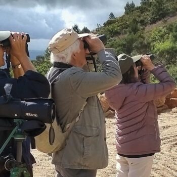 Grupo de turistas observando aves con prismáticos en mirador montañoso de la Sierra de Francia, España.