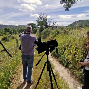 Birding in Spain - Pajareros en Santibañez
