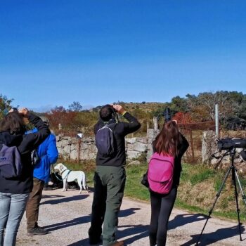 Grupo de ornitólogos observando aves en la Sierra de Francia con telescopios y binoculares en excursión de avistamiento.