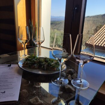 Degustación de vinos en terraza con vistas a las montañas de la Sierra de Francia