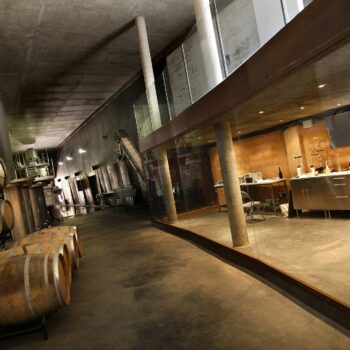Interior moderno de bodega con barriles de madera, zona de cata y pilares de hormigón en Sierra de Francia.