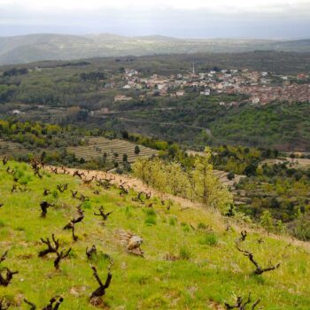 Vista panorámica de Cambrico con bancales de cultivo, olivares y pueblo blanco en valle montañoso de la Sierra de Francia.