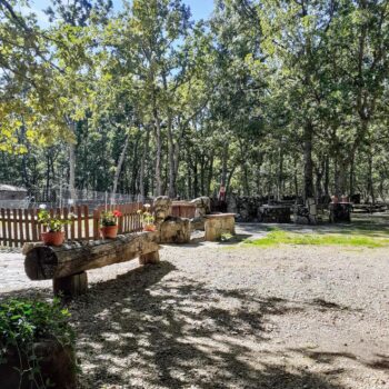 Camping Las Cávenes: área con árboles, banco de madera, decoración rústica y cerco de madera blanca