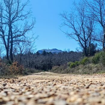 Vista de la Sierra de Francia desde un camino de tierra con árboles desnudos y cielo azul despejado.
