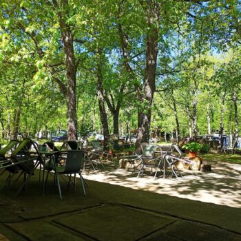 Zona de camping con mesas y sillas verdes bajo árboles frondosos en la Sierra de Francia