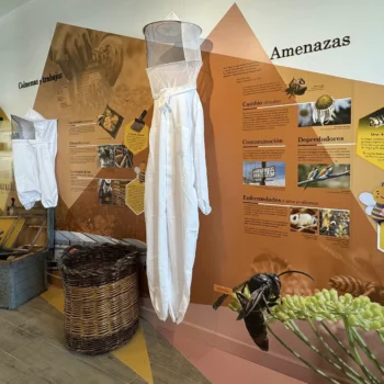 Exposición interactiva sobre apicultura con paneles informativos, colmena y modelo de abeja gigante en el Centro de Interpretación de la Miel.