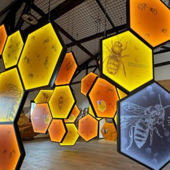 Instalación interactiva de paneles hexagonales iluminados en amarillo y naranja con ilustraciones de abejas en el Centro de Interpretación de la Miel.