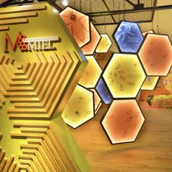 Centro de Interpretación de la Miel con paneles hexagonales iluminados sobre apicultura y producción de miel en la Sierra de Francia.