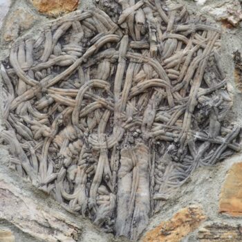 Fósil de amonita en relieve, Centro de Interpretación de los Mares Antiguos, Sierra de Francia