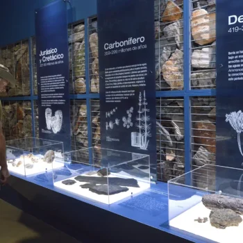 Visitante observa exposición sobre períodos geológicos Jurásico, Carbonífero y Devónico con fósiles en museo paleontológico.