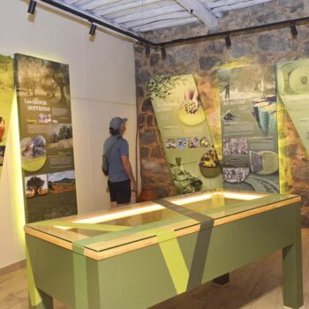 Interior del Centro de Interpretación del Aceite con paneles informativos sobre olivicultura y gastronomía en la Sierra de Francia.