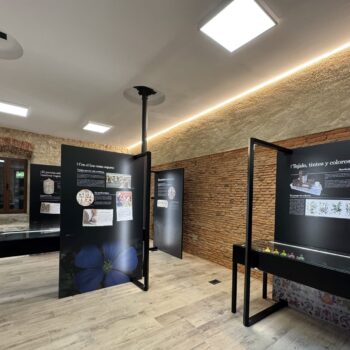 Interior moderno del Centro de Interpretación del Bordado Serrano con paneles informativos negros, paredes de ladrillo y iluminación LED.