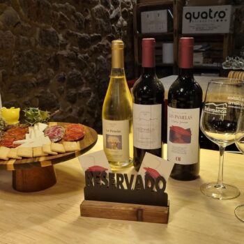 Degustación de vinos Las Pamelas con tabla de quesos y embutidos en bodega de la Sierra de Francia.