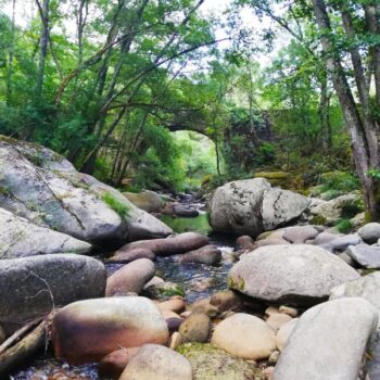 Puente de piedra sobre arroyo entre rocas y árboles en la Sierra de Francia, entorno natural y boscoso.