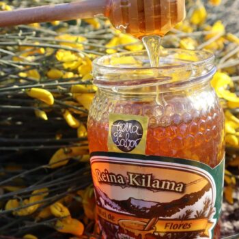 Miel de flores Reina Kilama siendo vertida en frasco con flores amarillas de fondo en la Sierra de Francia