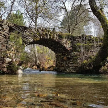 Puente de piedra sobre río en bosque con árboles y musgo en la Sierra de Francia