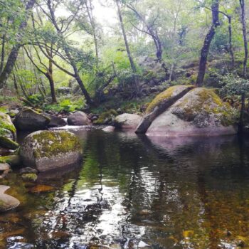 Río tranquilo rodeado de árboles y rocas cubiertas de musgo en la Sierra de Francia, bosque verde exuberante.