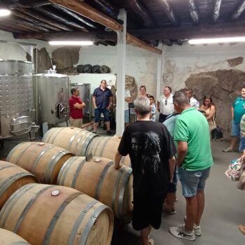 Grupo de turistas visitando bodega con barriles de madera en la Sierra de Francia durante degustación de vinos.