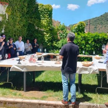 Reunión al aire libre en jardín de Sierra de Francia con grupo de personas disfrutando de comida y bebida bajo vegetación verde.