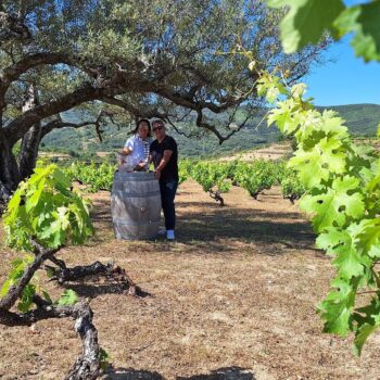 Dos personas posan junto a un barril de vino bajo un antiguo olivo en viñedo de la Sierra de Francia con montañas al fondo.