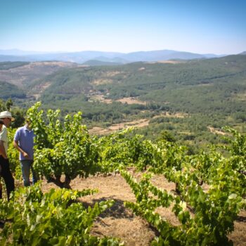 Dos visitantes observan viñedos en la Sierra de Francia con paisaje de valles y montañas al fondo.
