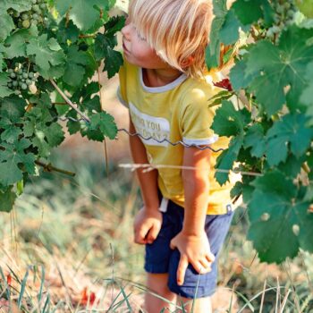 Niño rubio entre viñas verdes en la Sierra de Francia, observando uvas en una actividad de turismo rural